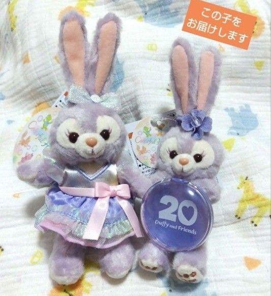 ★タグ付★ディズニーシー ディズニーランド ディズニー ぬいぐるみバッジ ぬいぐるみチャーム ぬいば ステラルー カラフルハピネス