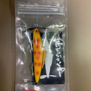 ラインスラック セビレ スポッテドオレンジ