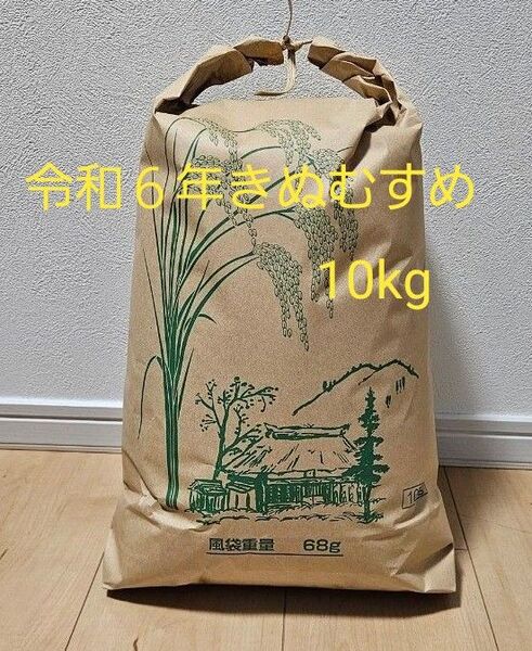 令和6年 きぬむすめ 10kg 精米or玄米