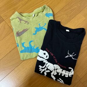 男の子Tシャツ 恐竜Tシャツ 半袖130cm Tシャツ トップス