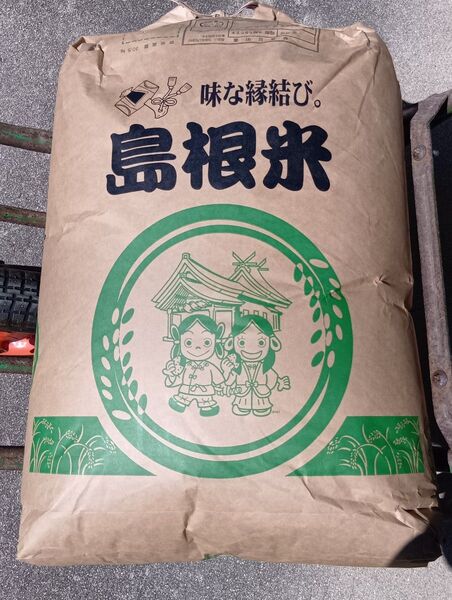 お米 令和6年産新米 島根米 玄米10Kg ★☆送料無料☆★