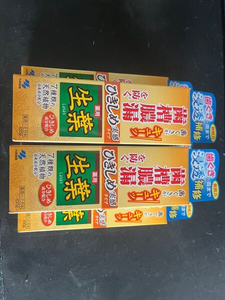 小林製薬 歯磨き粉 生葉5本セット
