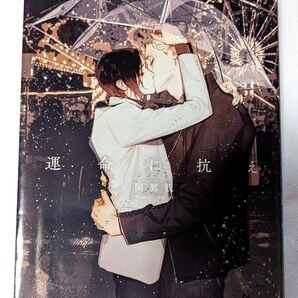 小説 BL 運命に抗え (&arche NOVELS) 関鷹親