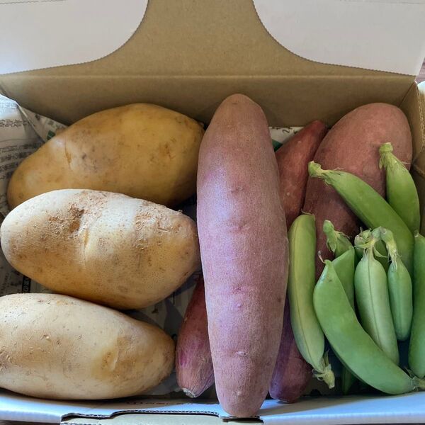お野菜詰め合わせセット③