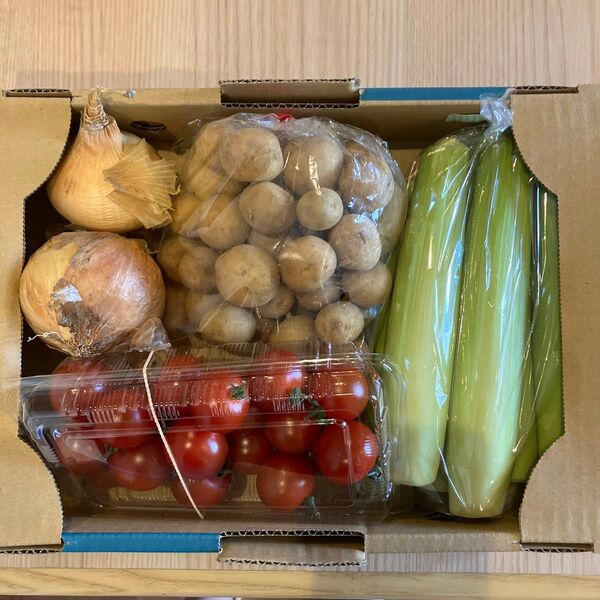 新鮮野菜詰め合わせセット