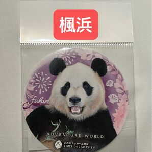 アドベンチャーワールド パンダステッカー 楓浜