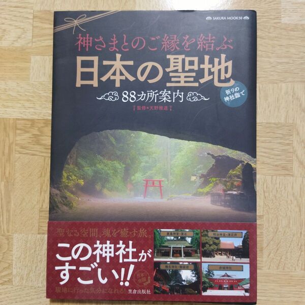 神さまとのご縁を結ぶ日本の聖地88カ所案内 天野雅道/監修