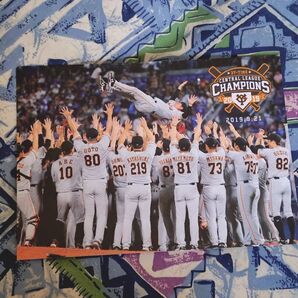 非売品→読売ジャイアンツ2019年 セントラルリーグ優勝記念ポストカード 1枚&2023年カルビープロ野球カード高橋優貴1枚セット