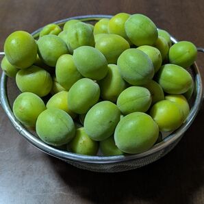 青梅 約2kg 無農薬 採れたて