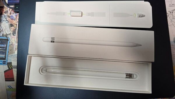 Apple Pencil 第一世代 動作確認済み
