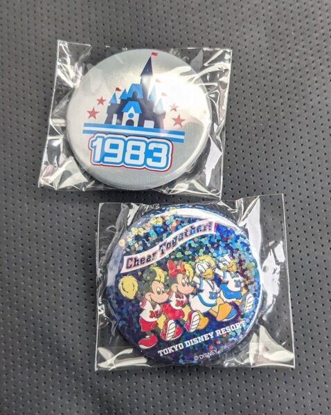 東京ディズニーリゾート カンバッジコレクション シークレット 缶バッジ ミッキー ミニー ドナルド デイジー 集合
