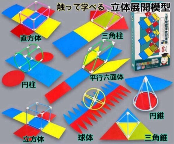 展開図 立体 知育玩具 中学受験 高校受験 入学祝い 組み立て 小学校 中学校