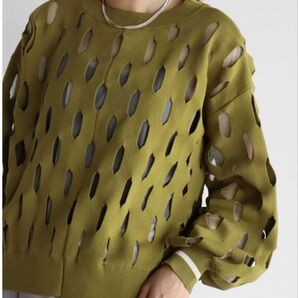 新品¥16,500 ホールカットニットプルオーバー