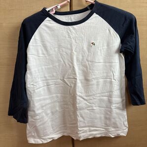 アーノルドパーマー 7分袖