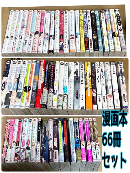 BLコミック まとめ売り 66冊 大量セット BL 漫画 コミック ボーイズラブ
