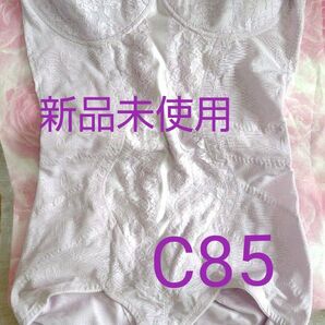 シャンデールボディスーツC85