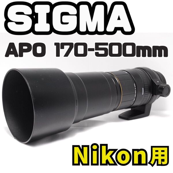 超望遠の世界へ SIGMA APO 170-500mm 一眼レフ Nikon用 Nikon ニコン シグマ SIGMA