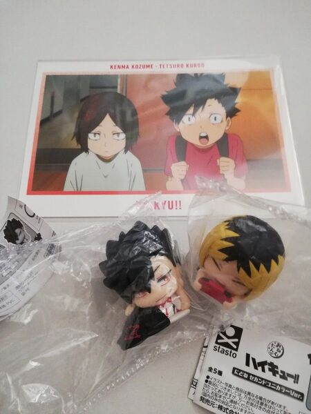ハイキュー!! おねむたん + ポストカード 黒尾鉄朗 & 孤爪研磨