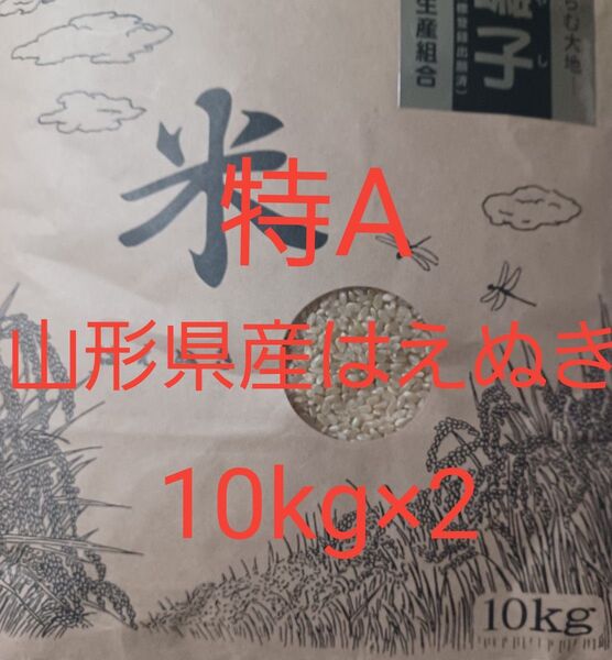 特A はえぬき 玄米 20kg (10kg×2) 山形県産 令和6年産