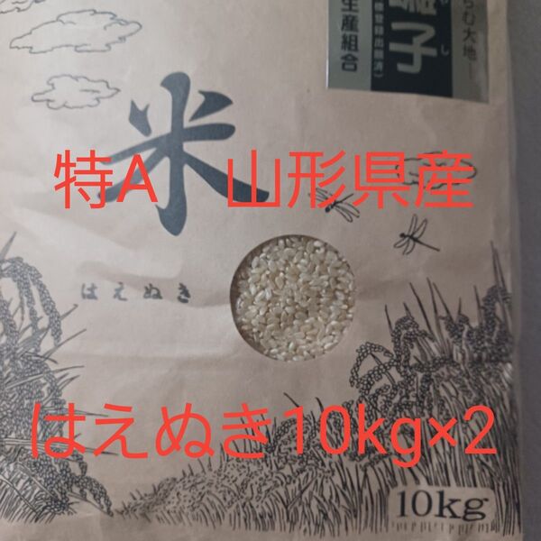特A はえぬき 20kg (10kg×2) 玄米 山形県産 令和6年産