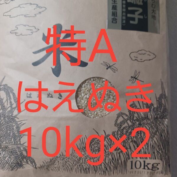 特A はえぬき 玄米 20kg (10kg×2) 山形県産 令和6年産