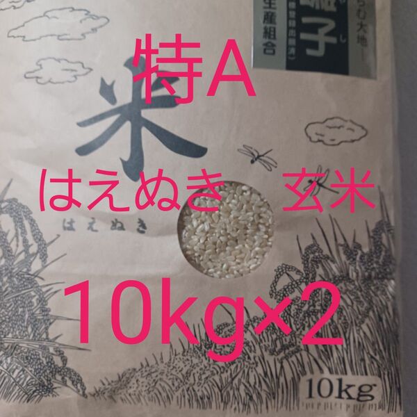 山形県産 はえぬき 玄米 10kg×2 合計 20kg 令和6年産