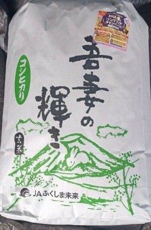 福島県産 コシヒカリ 玄米 10kg 令和6年産 全国送料無料
