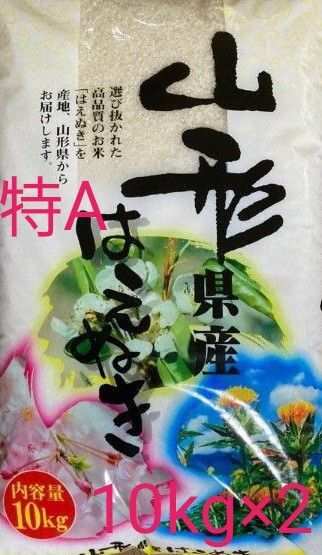 山形県産 はえぬき 令和6年産 20kg 10kg×2袋 白米 精米日令和7年4月30日 全国送料無料