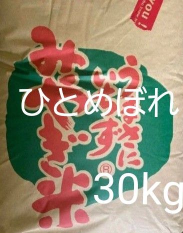 宮城県産 特別栽培米 ひとめぼれ 玄米 30kg 令和6年産