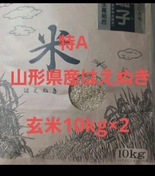 はえぬき 20kg (10kg×2) 山形県産 令和6年産 玄米 特A