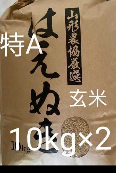特A 山形県産 はえぬき 20kg (10kg×2) 玄米 令和6年産