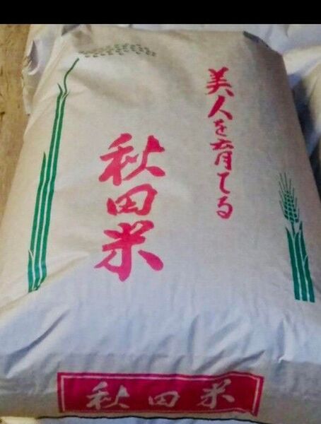 秋田県産 あきたこまち 玄米 30kg 令和6年産