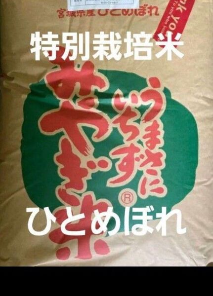宮城県産 ひとめぼれ 特別栽培米 玄米 30kg 令和6年産 全国送料無料