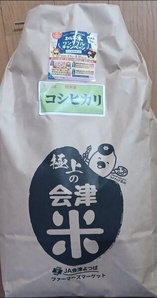 会津産 コシヒカリ 令和6年産 9kg 4.5kg×2 白米 精米日令和6年4月中旬