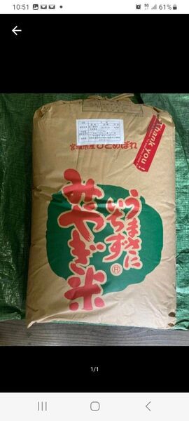 宮城県産 ひとめぼれ 玄米 30kg