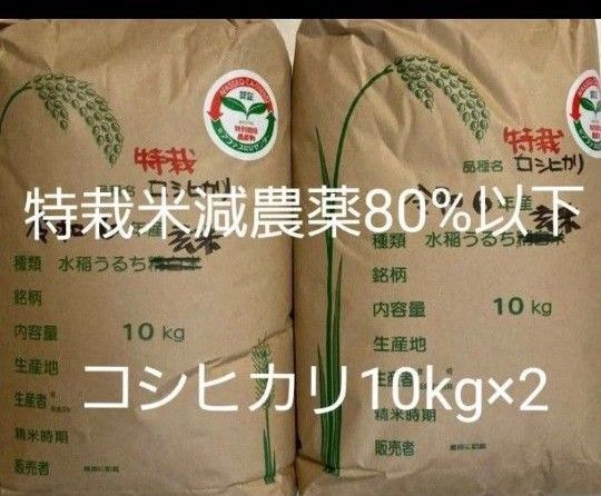 特別栽培米 減農薬80%以下 コシヒカリ 10kg×2 福島県令和6年産 玄米