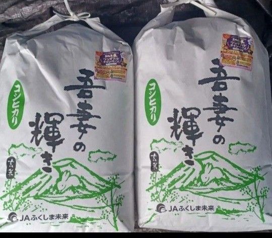 福島県産 コシヒカリ 玄米 20kg (10kg×2) 令和6年産 全国送料無料