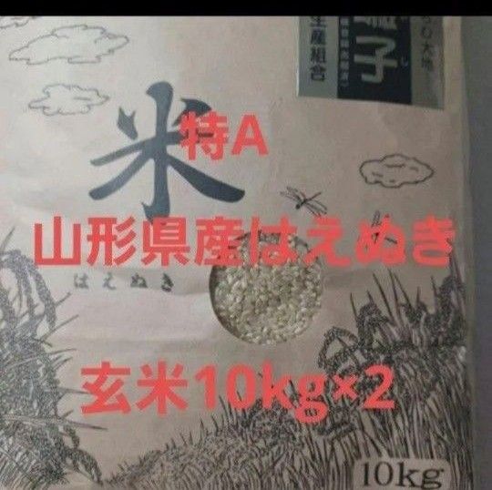 特A 山形県産 はえぬき 玄米 20kg(10kg×2) 令和6年産