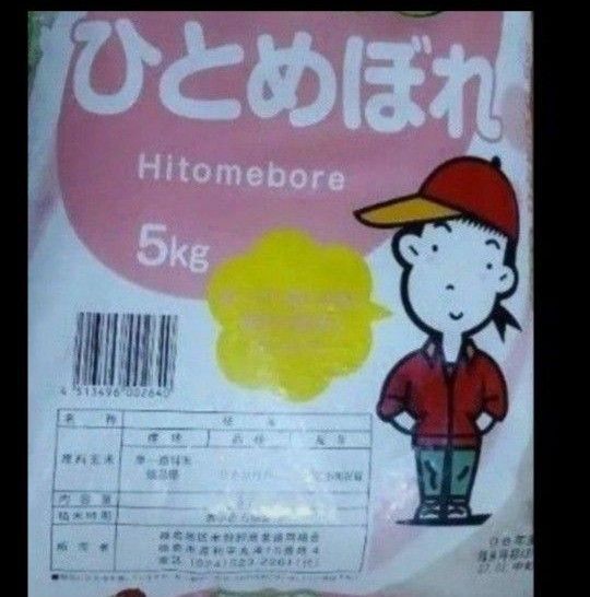 ひとめぼれ 10kg 5kg×2袋 白米 精米日令和7年5月中旬 福島県産 令和6年産 全国送料無料