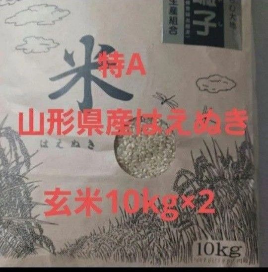 特A 山形県産 はえぬき 玄米 20kg (10kg×2) 令和6年産