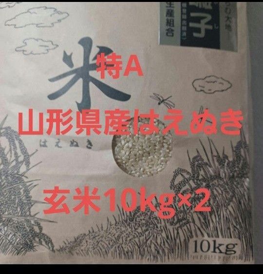 特A はえぬき 20kg (10kg×2) 山形県産 令和6年産 玄米