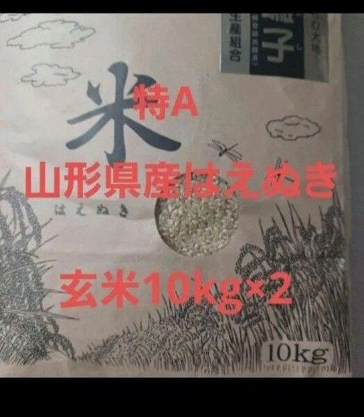 特A はえぬき 20kg (10kg×2) 山形県産 令和6年産 玄米