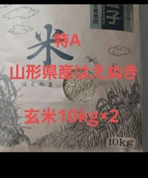 特A はえぬき 20kg (10kg×2) 山形県産 令和6年産 玄米
