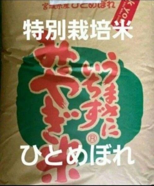 宮城県産 ひとめぼれ 特別栽培米 玄米 30kg 令和6年産 全国送料無料