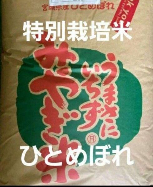 宮城県産 ひとめぼれ 特別栽培米 玄米 30kg 令和6年産 全国送料無料