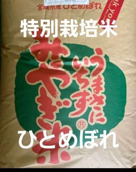 宮城県産 ひとめぼれ 特別栽培米 玄米 30kg 令和6年産 全国送料無料