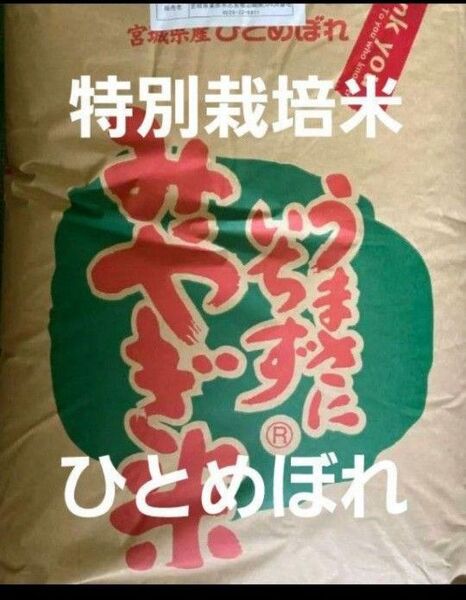 宮城県産 ひとめぼれ 特別栽培米 玄米 30kg 冷蔵保管 令和6年産 全国送料無料