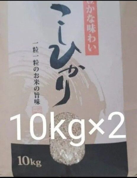 会津産 コシヒカリ 玄米 20kg (10kg×2) 令和6年産 全国送料無料