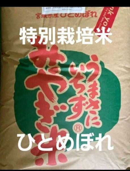 宮城県産 ひとめぼれ 特別栽培米 玄米 30kg 令和6年産 全国送料無料