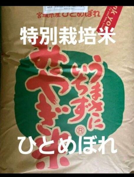 宮城県産 ひとめぼれ 玄米 30kg 令和6年産
